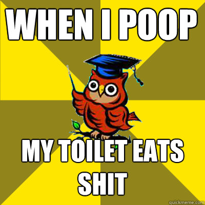 when i poop my toilet eats shit  Observational Owl