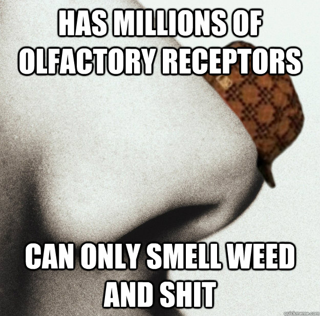 has millions of olfactory receptors can only smell weed and shit  