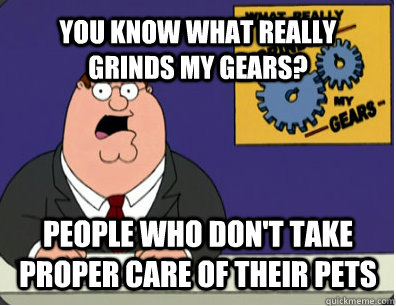 YOU KNOW WHAT REALLY GRINDS MY GEARS? people who don't take proper care of their pets  Grinds my gears