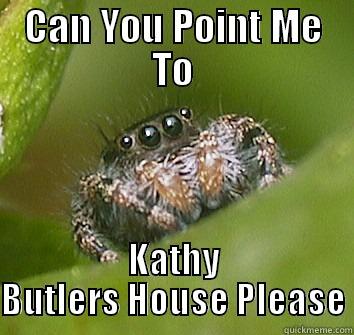 I Won`t Eat Much - CAN YOU POINT ME TO KATHY BUTLERS HOUSE PLEASE Misunderstood Spider