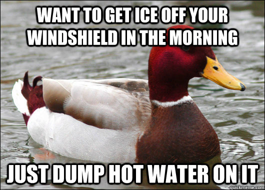 Want to get ice off your windshield in the morning  just dump hot water on it  Malicious Advice Mallard