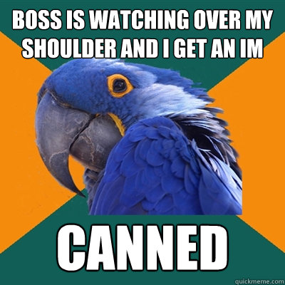 boss is watching over my shoulder and i get an IM canned  Paranoid Parrot