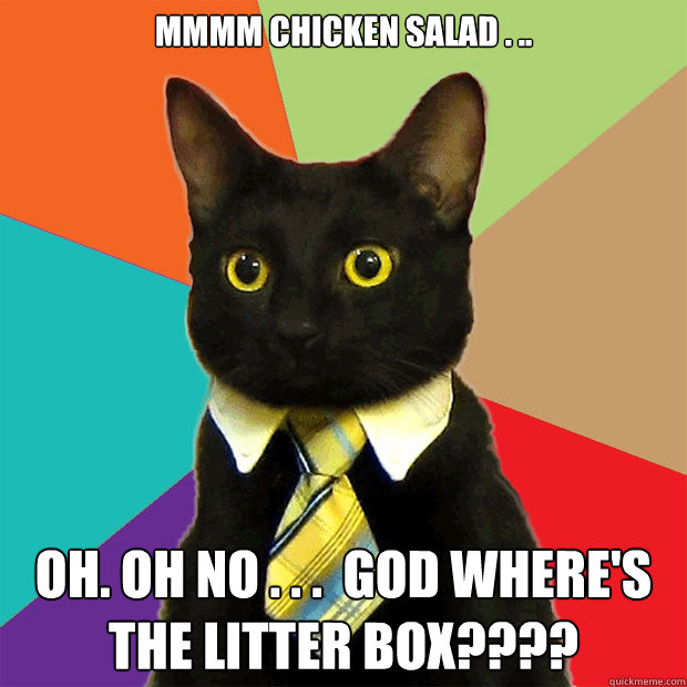 Mmmm chicken salad . ..   Oh. Oh no . . .  God where's the litter box????  Business Cat
