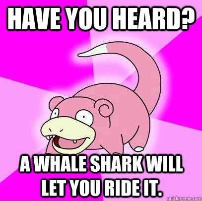 Have you heard? A whale shark will let you ride it.  Slowpoke