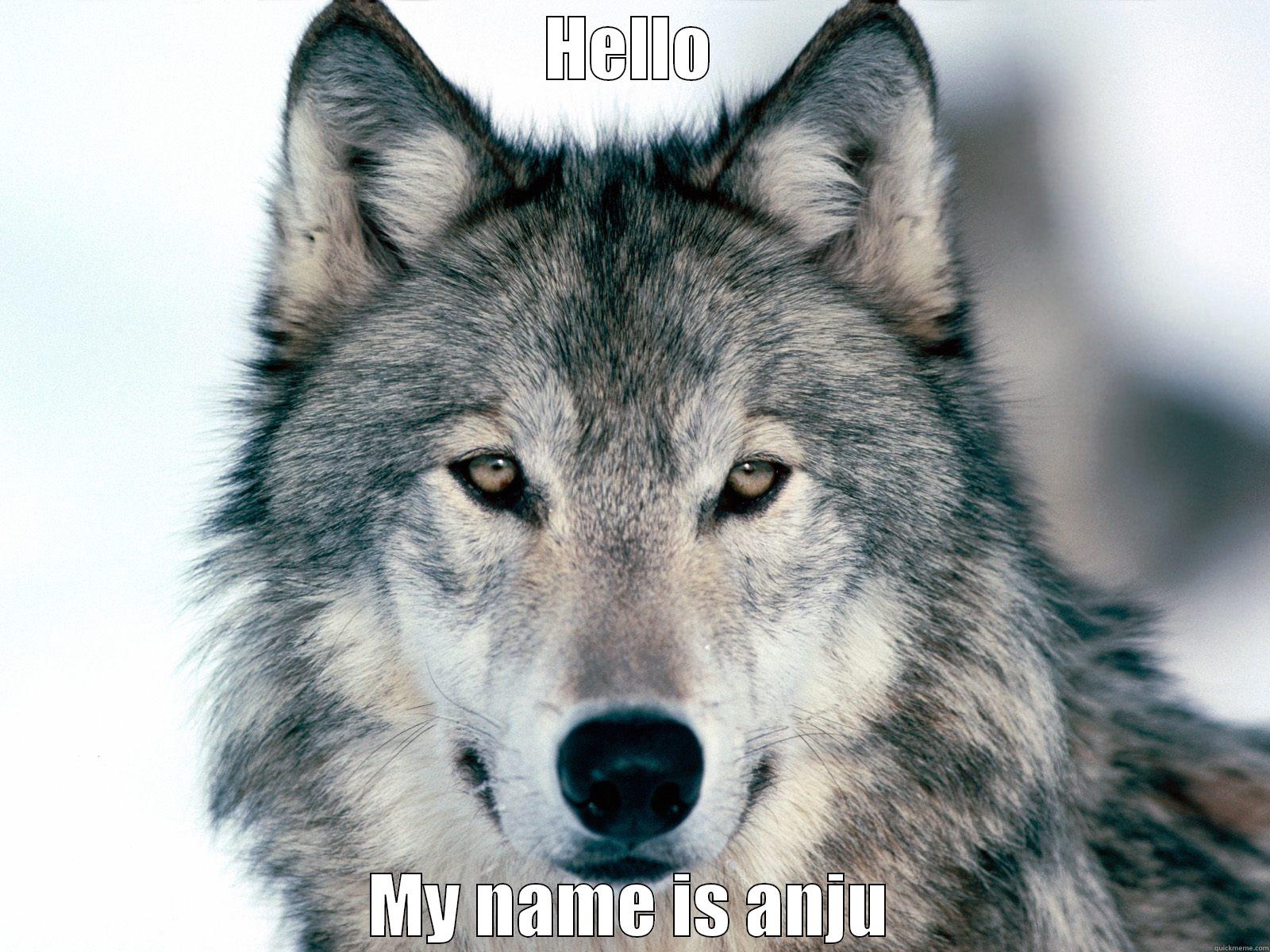 HELLO MY NAME IS ANJU Misc