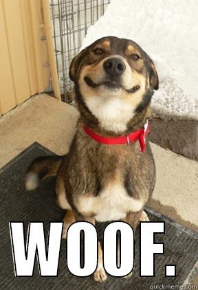  WOOF. Good Dog Greg