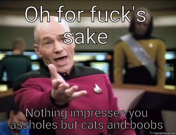 Imgur in a nutshell - OH FOR FUCK'S SAKE NOTHING IMPRESSES YOU ASSHOLES BUT CATS AND BOOBS Annoyed Picard HD