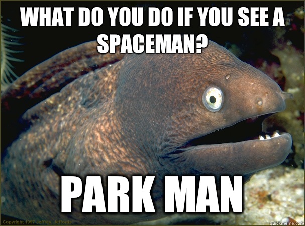 WHAT DO YOU DO IF YOU SEE A SPACEMAN? PARK MAN  Bad Joke Eel