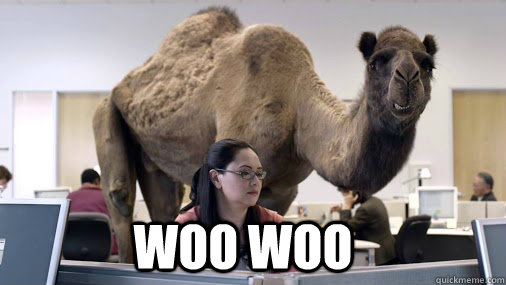  WOO WOO -  WOO WOO  hump day