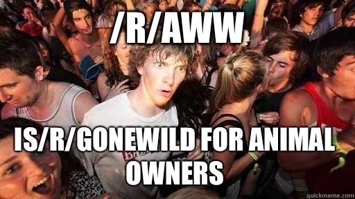 /r/aww  Is/r/gonewild for animal owners  Sudden Clarity Clarence
