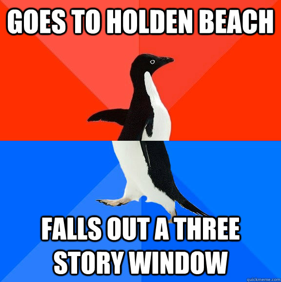 Goes to holden beach falls out a three story window  socially awkward penguin socially awesome penguin