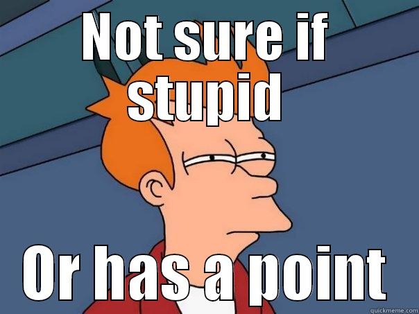 NOT SURE IF STUPID OR HAS A POINT Futurama Fry