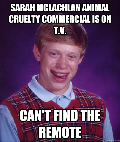 Sarah Mclachlan animal cruelty commercial is on T.V. Can't find the remote  Bad Luck Brian