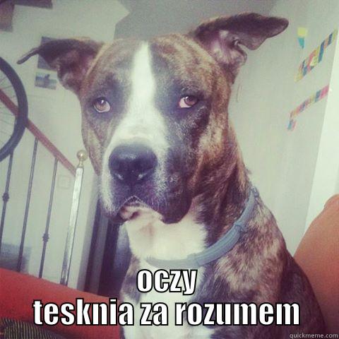  OCZY TESKNIA ZA ROZUMEM Success Kid