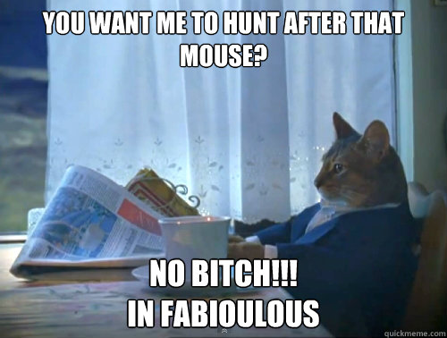 you want me to hunt after that mouse? no bitch!!! 
in fabioulous  The One Percent Cat