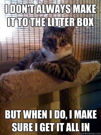 I don't always make it to the litter box but when I do, I make sure i get it all in  The Most Interesting Cat in the World