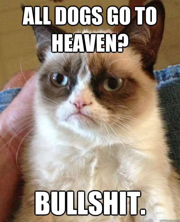 All dogs go to heaven? Bullshit.  Grumpy Cat is so sick of this shit