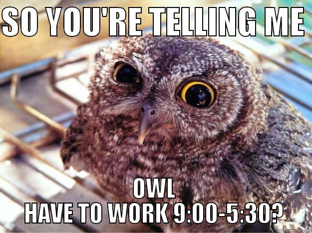 SO YOU'RE TELLING ME  OWL HAVE TO WORK 9:00-5:30? Skeptical Owl