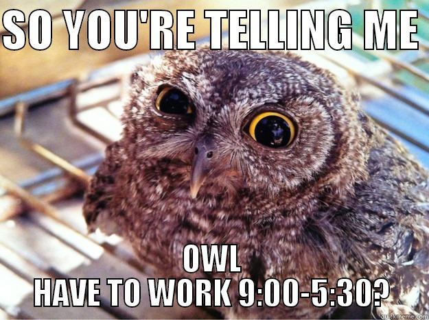 Owl Never Work! - SO YOU'RE TELLING ME  OWL HAVE TO WORK 9:00-5:30? Skeptical Owl