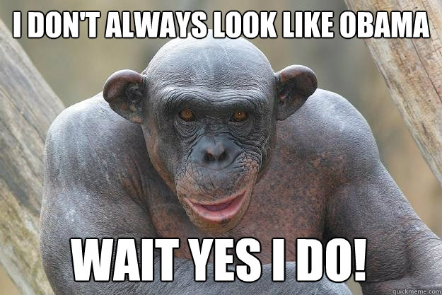 I don't Always look like obama WAIT yes i do!  The Most Interesting Chimp In The World