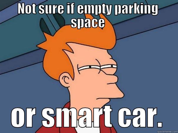 NOT SURE IF EMPTY PARKING SPACE OR SMART CAR. Futurama Fry