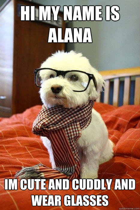 hi my name is alana im cute and cuddly and wear glasses - hi my name is alana im cute and cuddly and wear glasses  Hipster Dog