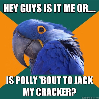 hey guys is it me or.... is polly 'bout to jack my cracker?  Paranoid Parrot