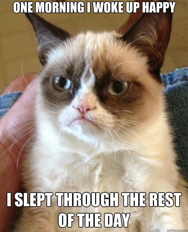 one morning i woke up happy i slept through the rest of the day  Grumpy Cat