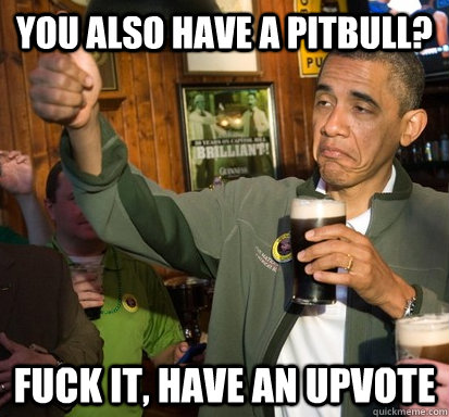 You also have a pitbull? Fuck it, have an upvote  Upvote Obama