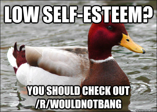 low self-Esteem? you should check out /r/Wouldnotbang   Malicious Advice Mallard