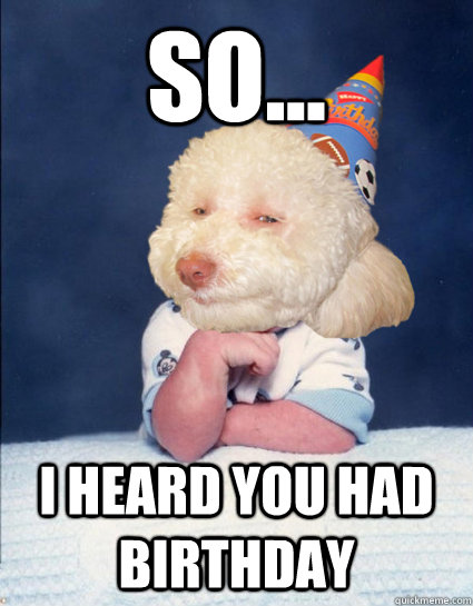 so... i heard you had birthday - birthday dog - quickmeme