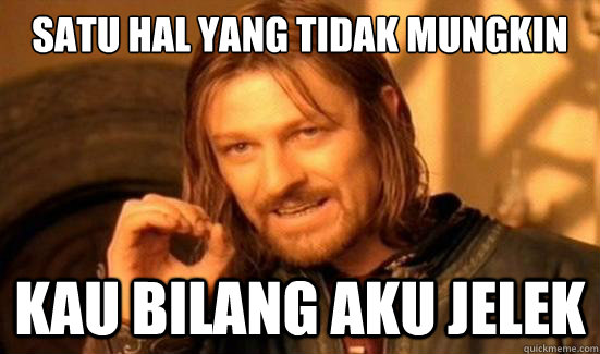 SATU HAL YANG TIDAK MUNGKIN KAU BILANG AKU JELEK  Boromir