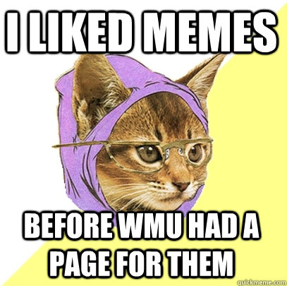 I liked Memes before WMU had a page for them  Hipster Kitty