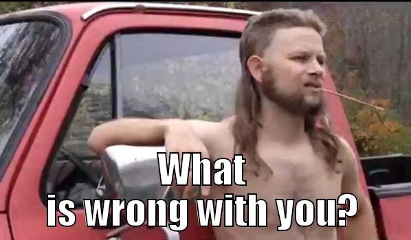  WHAT IS WRONG WITH YOU? Almost Politically Correct Redneck