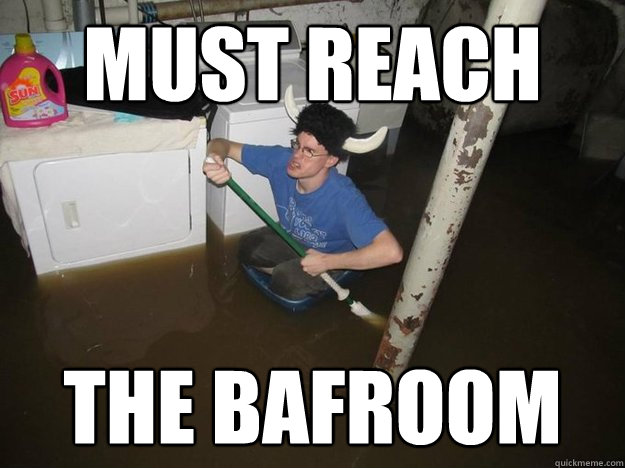 MUST REACH  THE BAFROOM  Laundry Room Viking