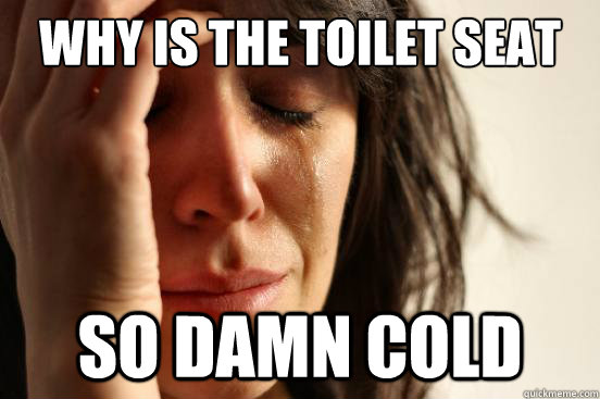 Why is the toilet seat so damn cold  First World Problems