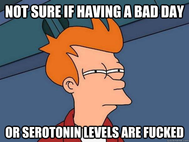 Not sure if having a bad day Or serotonin levels are fucked - Not sure if having a bad day Or serotonin levels are fucked  Futurama Fry