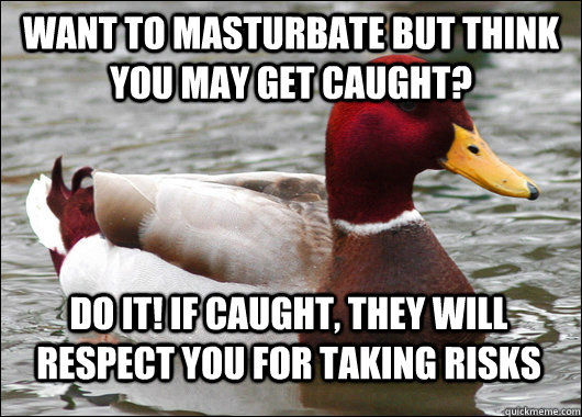 want to masturbate but think you may get caught? do it! if caught, they will respect you for taking risks  Malicious Advice Mallard