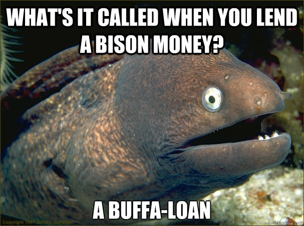 What's it called when you lend a bison money? A buffa-loan  Bad Joke Eel