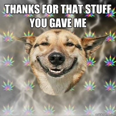 Thanks for that stuff you gave me  Stoner Dog