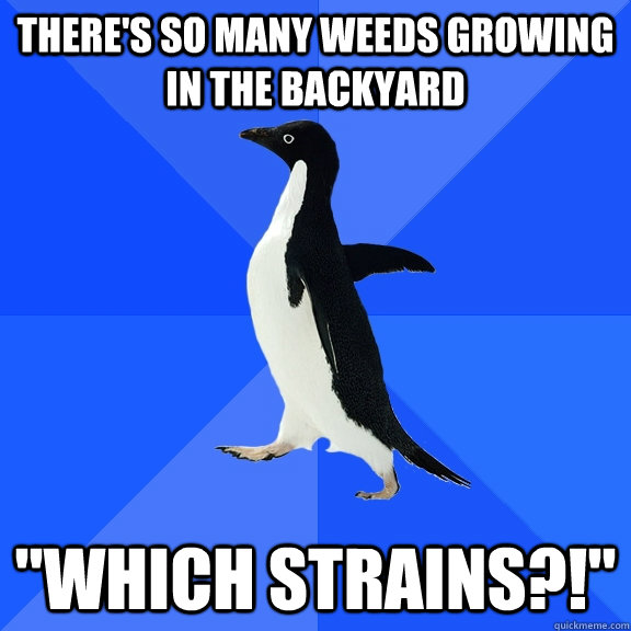 There's so many weeds growing in the backyard 