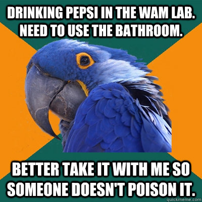 Drinking Pepsi in the wam lab. Need to use the bathroom. Better take it with me so someone doesn't poison it.   Paranoid Parrot