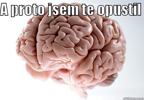 A PROTO JSEM TE OPUSTIL   Scumbag Brain