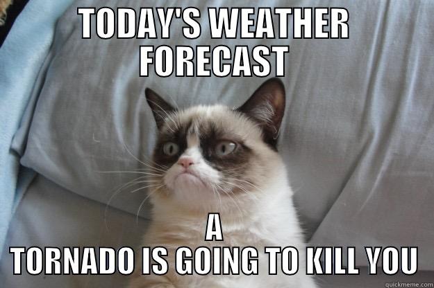 LOL XD  - TODAY'S WEATHER FORECAST A TORNADO IS GOING TO KILL YOU Grumpy Cat