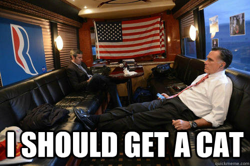  i should get a cat  Sudden Realization Mitt