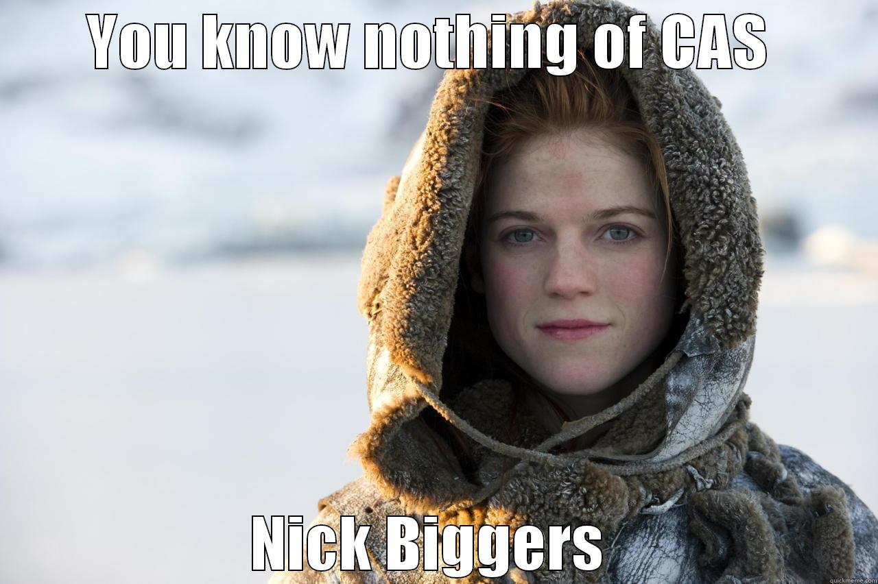 sounds about right... - YOU KNOW NOTHING OF CAS  NICK BIGGERS  Misc