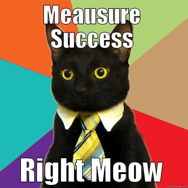 MEAUSURE SUCCESS RIGHT MEOW Business Cat