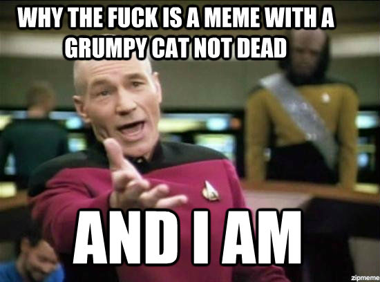 WHY THE FUCK IS A MEME WITH A GRUMPY CAT NOT DEAD AND I AM  Annoyed Picard HD