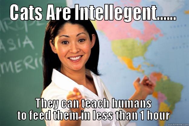 Made By Me... - CATS ARE INTELLEGENT...... THEY CAN TEACH HUMANS TO FEED THEM IN LESS THAN 1 HOUR Unhelpful High School Teacher