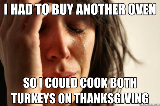 I had to buy another oven so i could cook both turkeys on thanksgiving  First World Problems